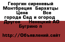 Георгин сиреневый. Монтбреция. Бархатцы.  › Цена ­ 100 - Все города Сад и огород » Другое   . Ненецкий АО,Бугрино п.